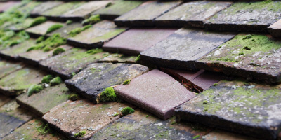 Edge Hill roof repair costs